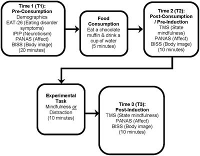 The Differential Effects of Mindfulness and Distraction on Affect and Body Satisfaction Following Food Consumption